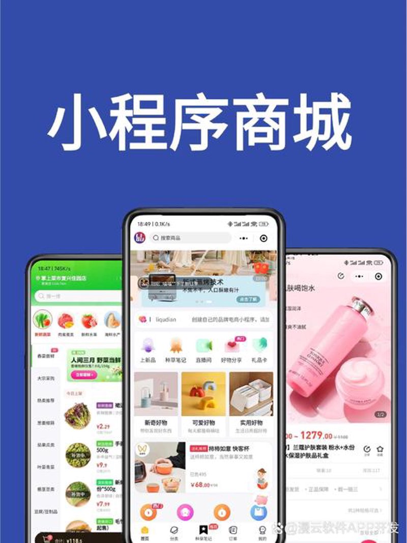 枝江软件开发:为中小型企业注入数字化引擎